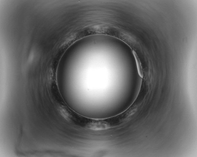 X0000087050752200704181237