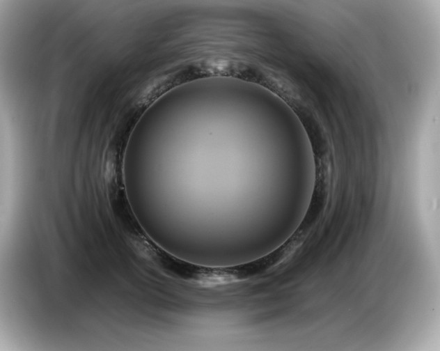 X0000087050754200704181237