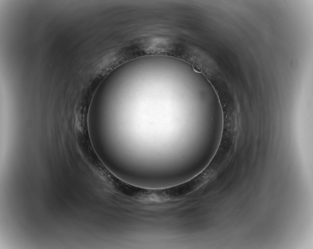 X0000087050755200704181237