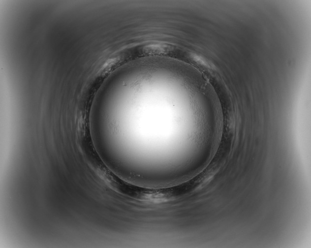 X0000087050759200704181237