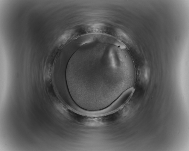 X0000087050760200704181237