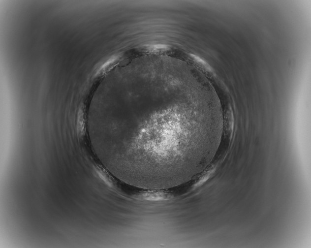 X0000087050762200704181237