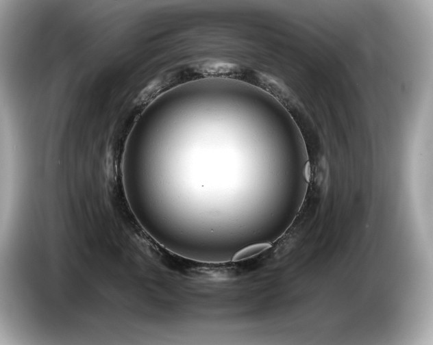 X0000087050763200704181237