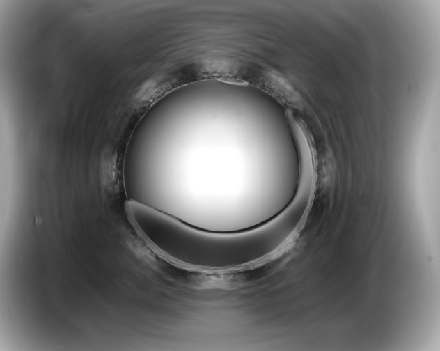 X0000087050764200704181237