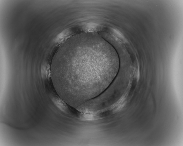 X0000087050766200704181237