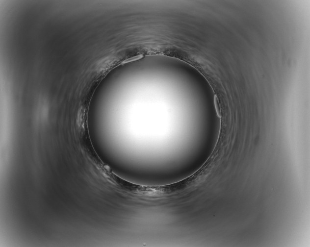 X0000087050768200704181237
