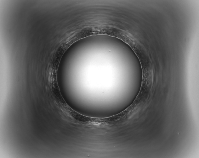 X0000087050770200704181236