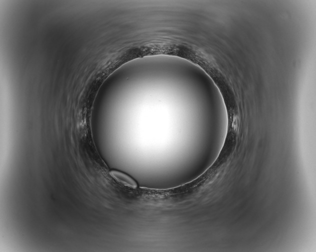 X0000087050771200704181236