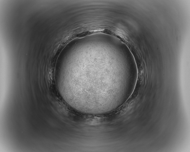 X0000087050772200704181236