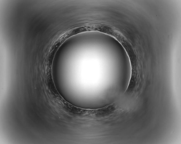 X0000087050773200704181236