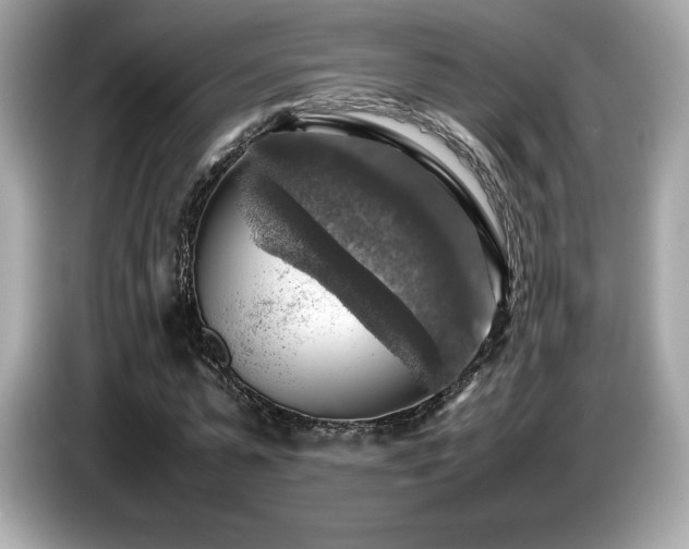 X0000087050775200704181236