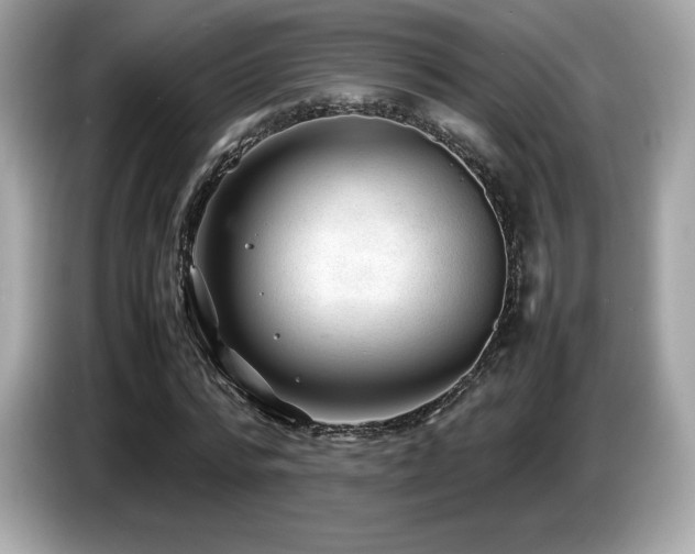 X0000087050776200704181236