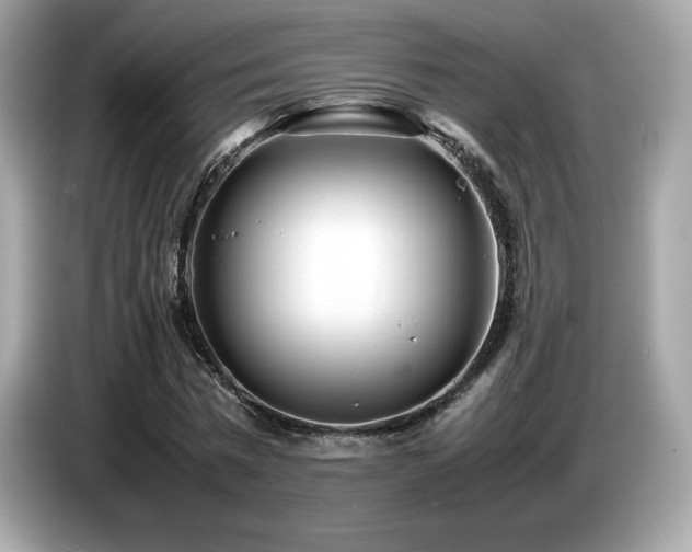 X0000087050777200704181236