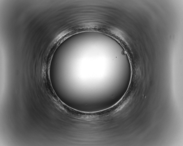 X0000087050778200704181236
