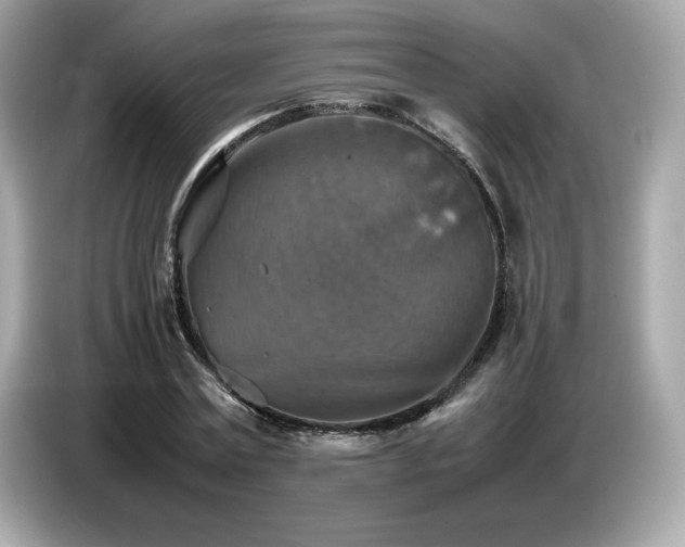 X0000087050779200704181236