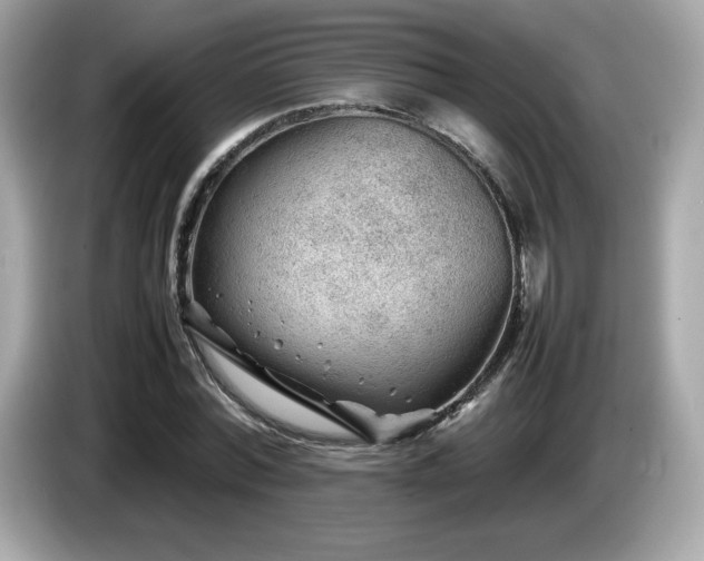 X0000087050780200704181236