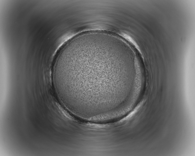 X0000087050781200704181236