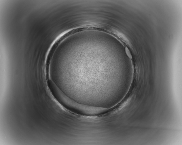 X0000087050784200704181236
