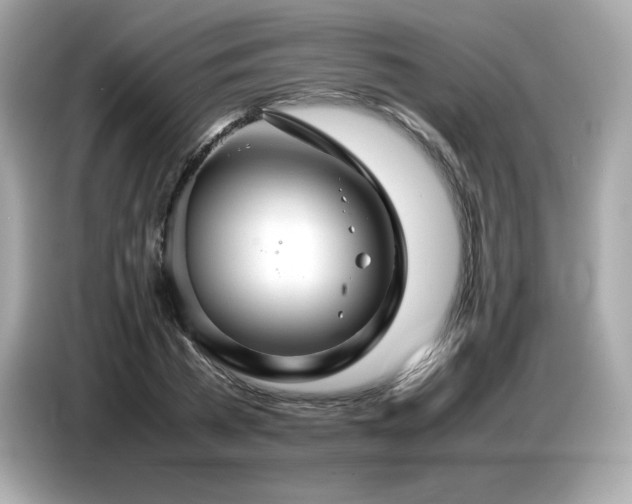 X0000087050785200704181236