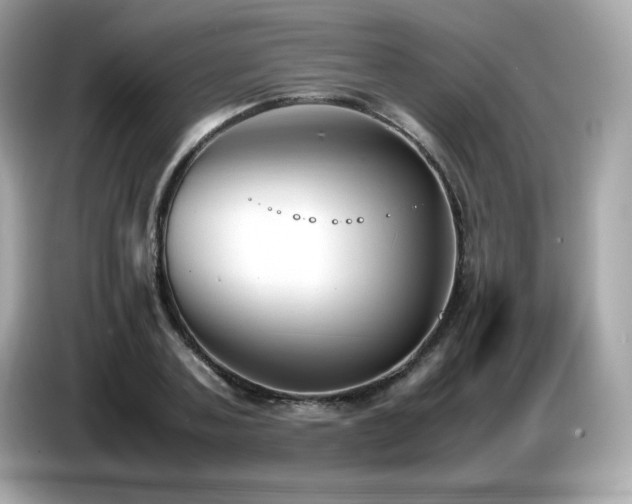 X0000087050787200704181236