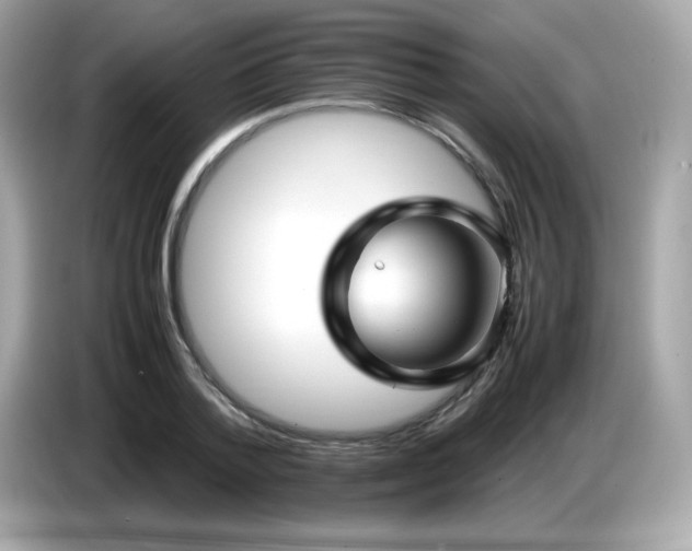 X0000087050788200704181236