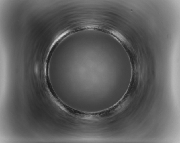 X0000087050790200704181236