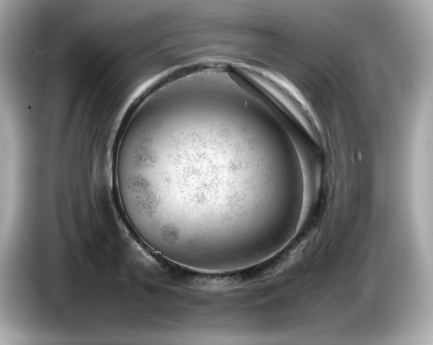 X0000087050791200704181236
