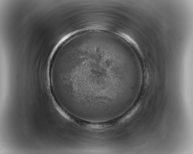 X0000087050792200704181236