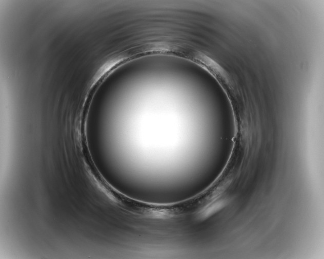 X0000087050794200704181236