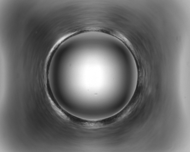 X0000087050795200704181236