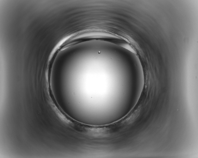 X0000087050796200704181236