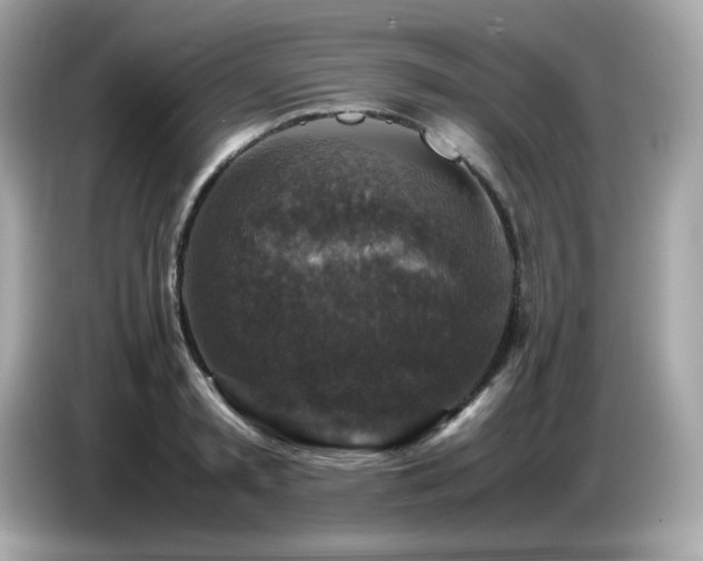 X0000087050797200704181236