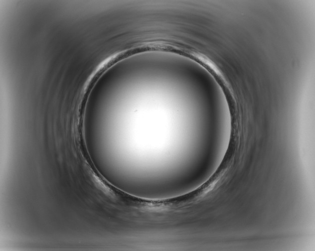 X0000087050799200704181236