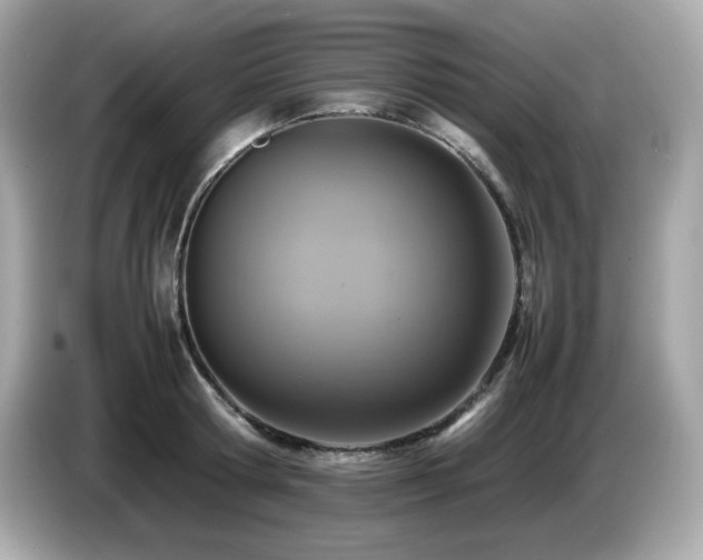 X0000087050802200704181235