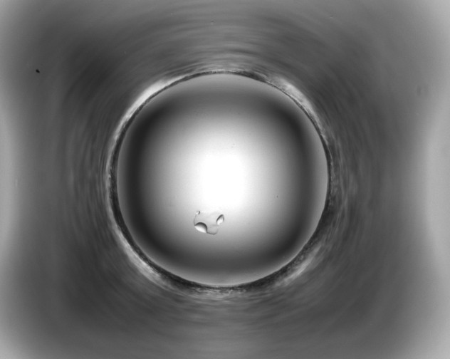 X0000087050803200704181235
