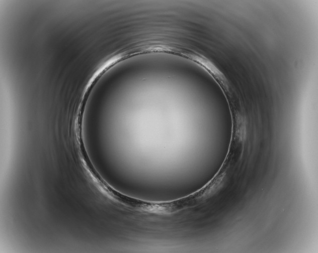 X0000087050806200704181235