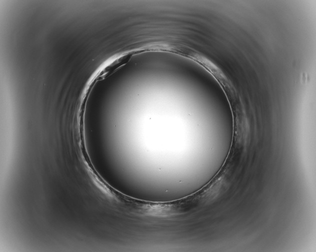 X0000087050808200704181235
