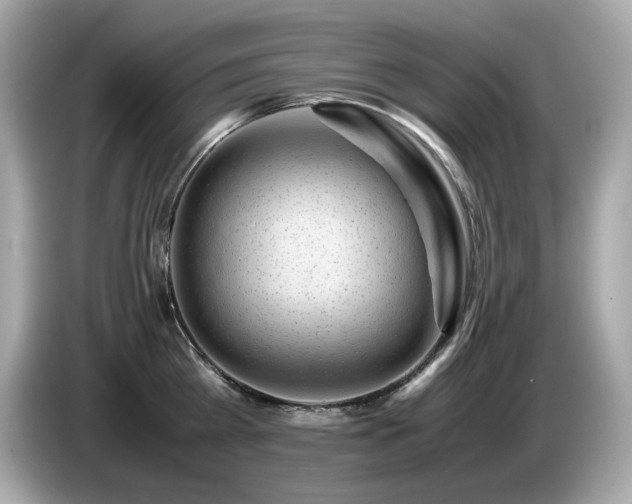 X0000087050809200704181235