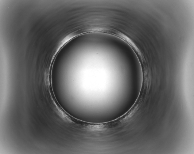 X0000087050810200704181235