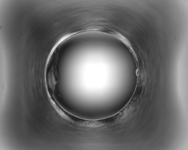 X0000087050811200704181235