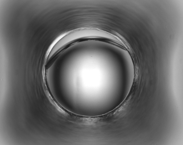 X0000087050812200704181235