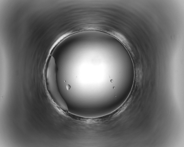 X0000087050814200704181235