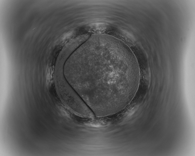 X0000087050818200704181235