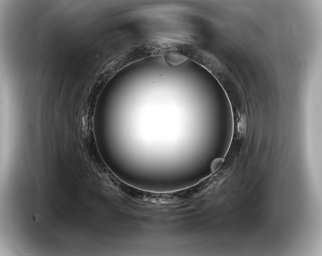 X0000087050819200704181235