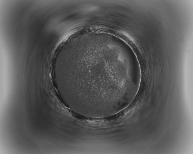 X0000087050823200704181235