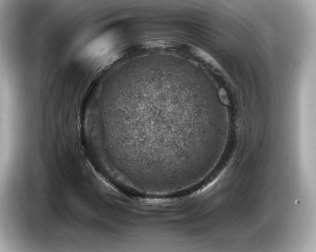 X0000087050825200704181235