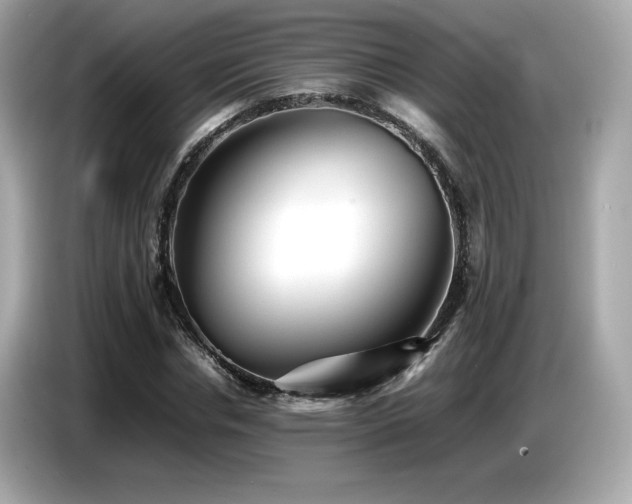 X0000087050826200704181235