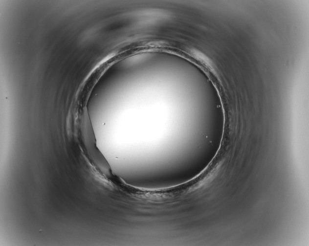 X0000087050827200704181235