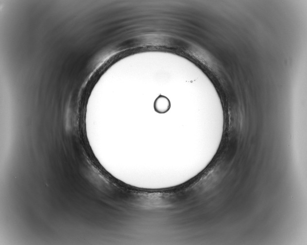 X0000087050828200704181235
