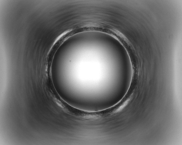 X0000087050830200704181235